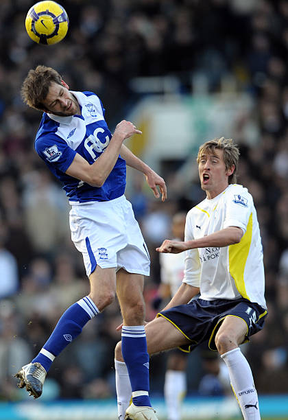 定地贡献着 定地贡献着